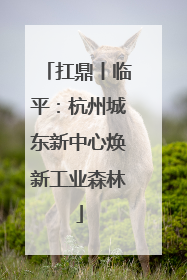 扛鼎丨临平：杭州城东新中心焕新工业森林