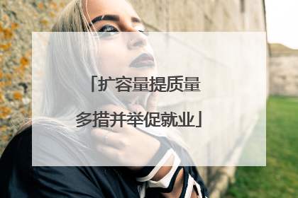 扩容量提质量 多措并举促就业
