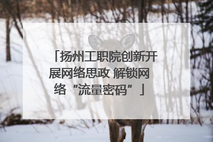 扬州工职院创新开展网络思政 解锁网络“流量密码”