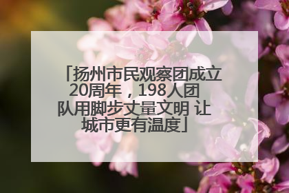 扬州市民观察团成立20周年，198人团队用脚步丈量文明 让城市更有温度