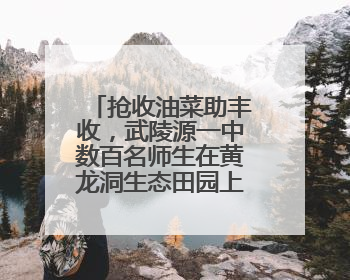 抢收油菜助丰收，武陵源一中数百名师生在黄龙洞生态田园上演“青春助农记”