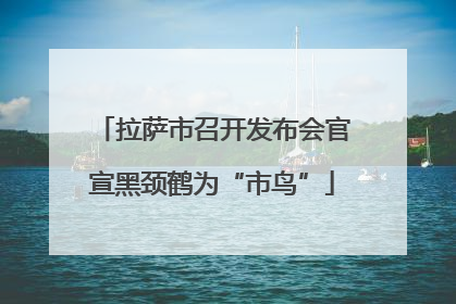 拉萨市召开发布会官宣黑颈鹤为“市鸟”
