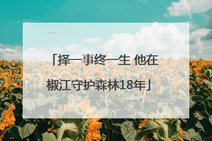 择一事终一生 他在椒江守护森林18年