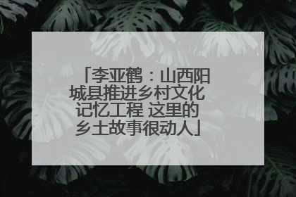 李亚鹤：山西阳城县推进乡村文化记忆工程 这里的乡土故事很动人