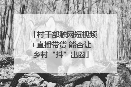 村干部触网短视频+直播带货 能否让乡村“抖”出圈
