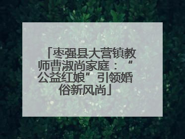 枣强县大营镇教师曹淑尚家庭：“公益红娘”引领婚俗新风尚