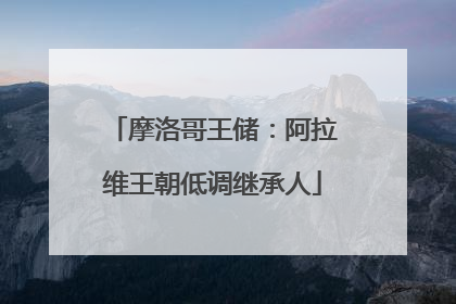 摩洛哥王储：阿拉维王朝低调继承人