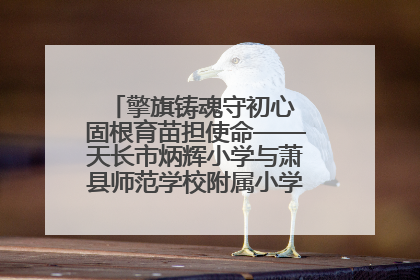 擎旗铸魂守初心 固根育苗担使命——天长市炳辉小学与萧县师范学校附属小学结对共建活动纪实