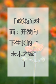 政策面对面：开发向下生长的“未来之城”