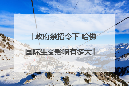 政府禁招令下 哈佛国际生受影响有多大