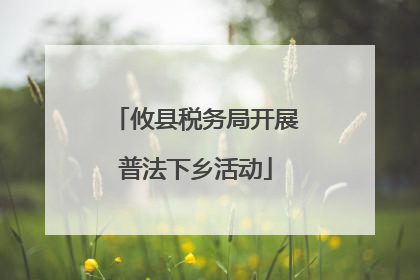 攸县税务局开展普法下乡活动