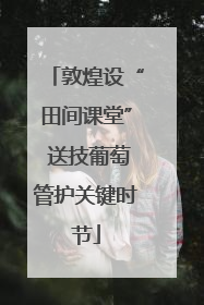 敦煌设“田间课堂” 送技葡萄管护关键时节