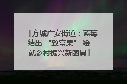 方城广安街道：蓝莓结出 “致富果” 绘就乡村振兴新图景