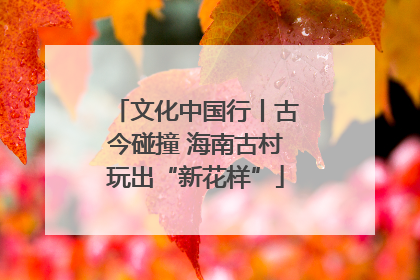 文化中国行丨古今碰撞 海南古村玩出“新花样”