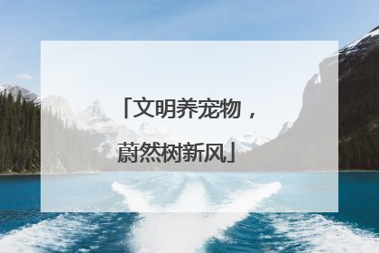 文明养宠物,蔚然树新风