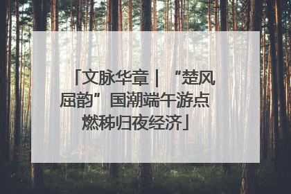 文脉华章｜“楚风屈韵”国潮端午游点燃秭归夜经济