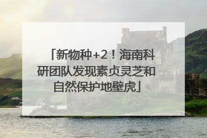 新物种+2！海南科研团队发现素贞灵芝和自然保护地壁虎