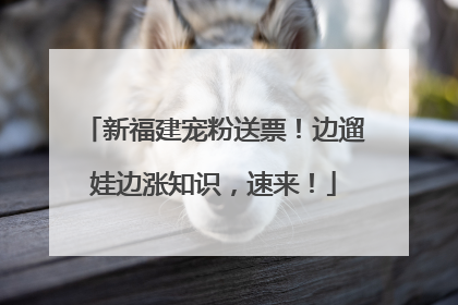 新福建宠粉送票！边遛娃边涨知识，速来！