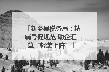 新乡县税务局：精辅导促规范 助企汇算“轻装上阵”
