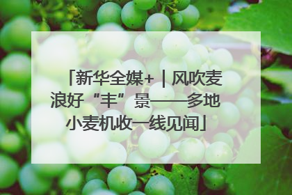 新华全媒+｜风吹麦浪好“丰”景——多地小麦机收一线见闻