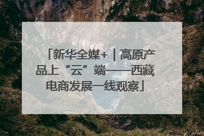 新华全媒+｜高原产品上“云”端——西藏电商发展一线观察