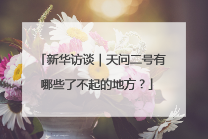新华访谈｜天问二号有哪些了不起的地方？