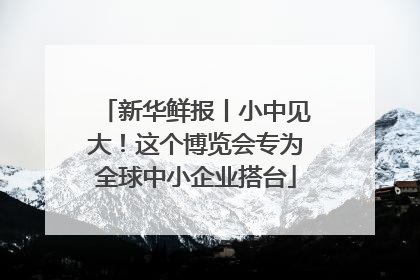 新华鲜报丨小中见大！这个博览会专为全球中小企业搭台