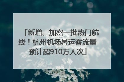 新增、加密一批热门航线！杭州机场暑运客流量预计超910万人次