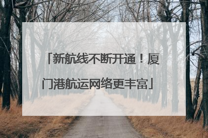 新航线不断开通！厦门港航运网络更丰富