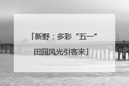 新野：多彩“五一” 田园风光引客来