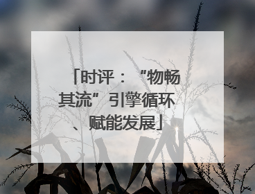 时评：“物畅其流”引擎循环、赋能发展