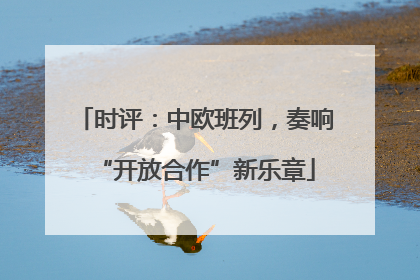 时评：中欧班列，奏响“开放合作”新乐章