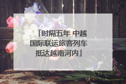 时隔五年 中越国际联运旅客列车抵达越南河内