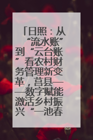 日照：从“流水账”到“云台账”看农村财务管理新变革，莒县——数字赋能激活乡村振兴“一池春水”