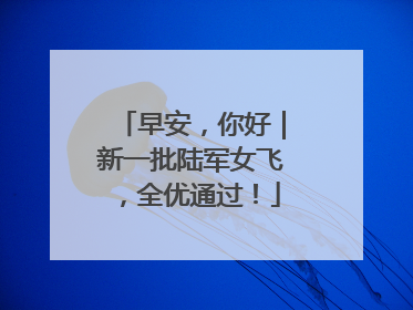 早安，你好｜新一批陆军女飞，全优通过！