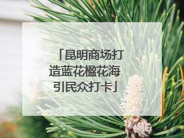 昆明商场打造蓝花楹花海引民众打卡