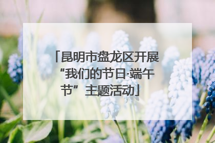 昆明市盘龙区开展“我们的节日·端午节”主题活动