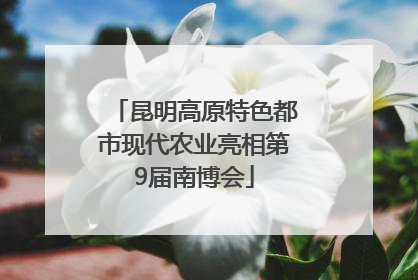昆明高原特色都市现代农业亮相第9届南博会