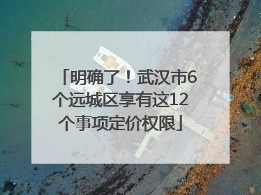 明确了！武汉市6个远城区享有这12个事项定价权限