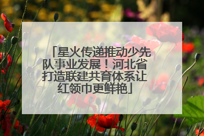 星火传递推动少先队事业发展！河北省打造联建共育体系让红领巾更鲜艳