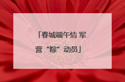春城端午情 军营“粽”动员