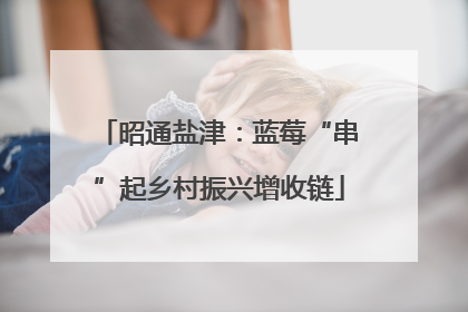 昭通盐津：蓝莓“串”起乡村振兴增收链