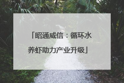 昭通威信：循环水养虾助力产业升级