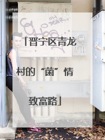 晋宁区青龙村的“菌”情致富路