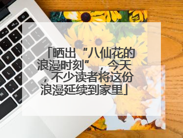 晒出“八仙花的浪漫时刻”，今天，不少读者将这份浪漫延续到家里