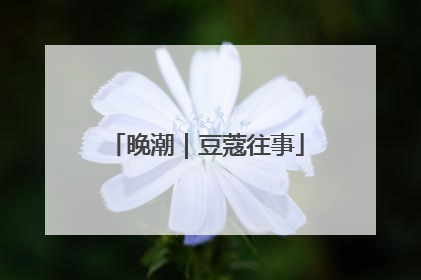 晚潮｜豆蔻往事
