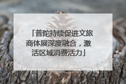普陀持续促进文旅商体展深度融合，激活区域消费活力