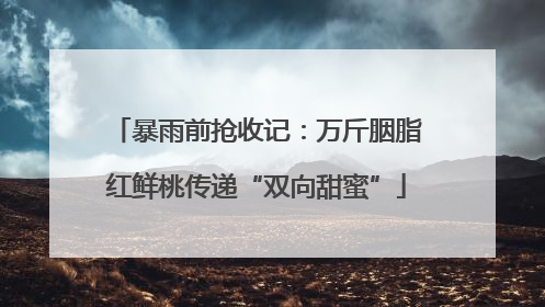暴雨前抢收记：万斤胭脂红鲜桃传递“双向甜蜜”