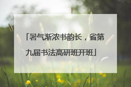 暑气渐浓书韵长，省第九届书法高研班开班