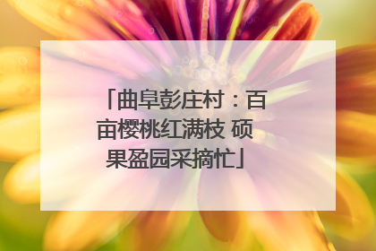 曲阜彭庄村：百亩樱桃红满枝 硕果盈园采摘忙
